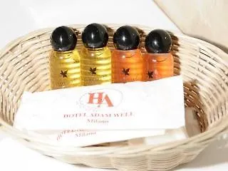 Hotel De La Place Des Alpes Paris France